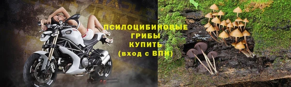 метадон Краснослободск