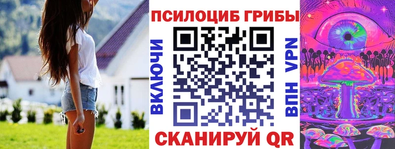 Псилоцибиновые грибы GOLDEN TEACHER  где купить наркоту  это Telegram  Малгобек 