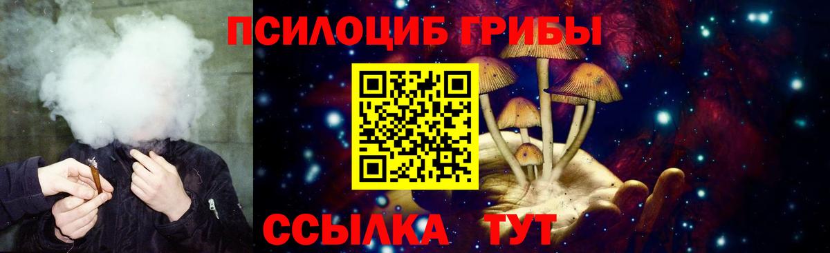 Псилоцибиновые грибы мицелий  Псилоцибиновые грибы мухоморы  Вход с VPN  Малгобек 