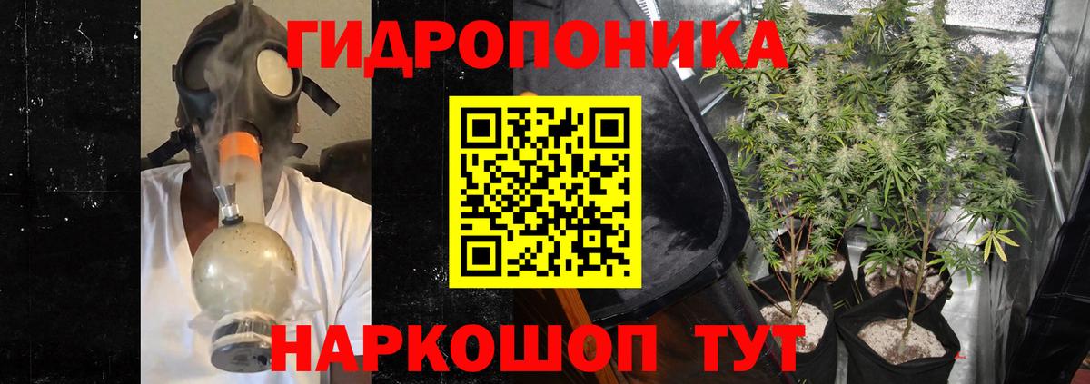 Бошки Шишки сатива Малгобек